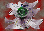 MASQUE A SOPHOCLE 6.gif